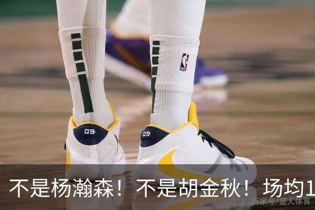 不是杨瀚森！不是胡金秋！场均14+8，攻防一体，他才是男篮现役最强中锋