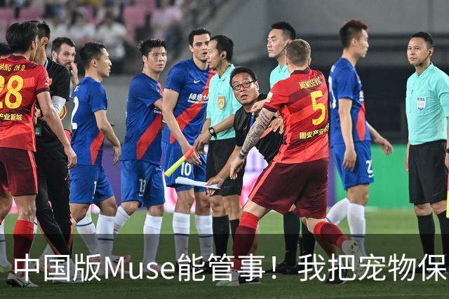 中国版Muse能管事！我把宠物保单、双11算价和周末旅行全交给了灵光2.0