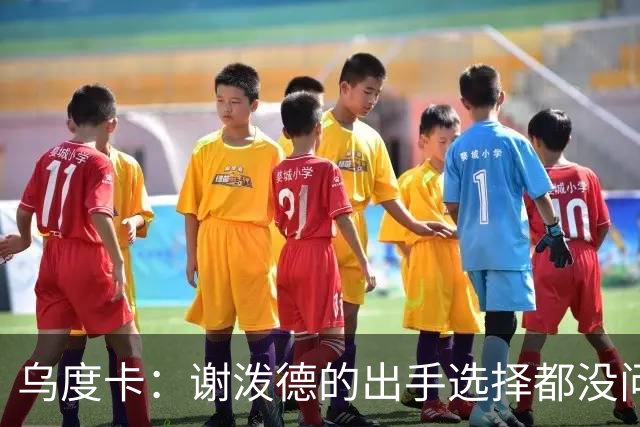 乌度卡：谢泼德的出手选择都没问题 斯玛特缺席他会更多打控卫