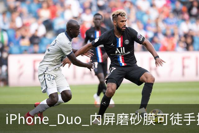 iPhone Duo 内屏磨砂膜可徒手撕下